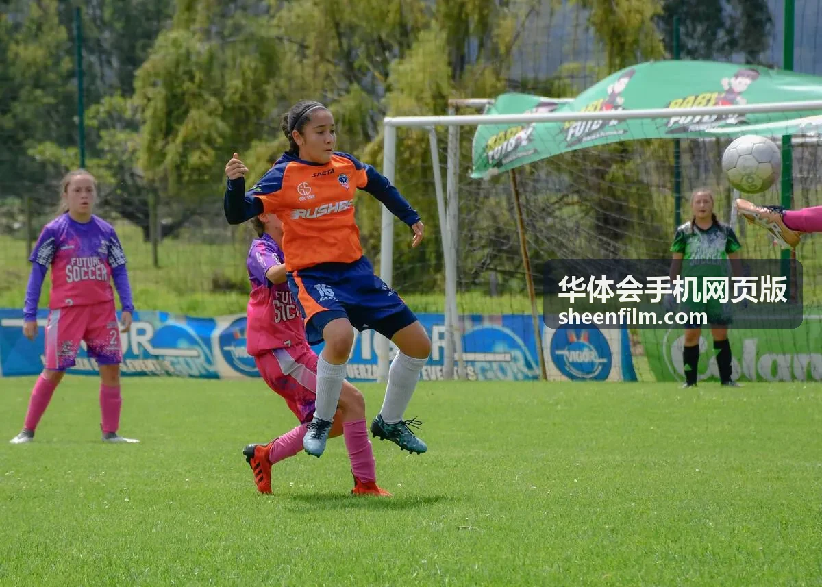 华体会手机网页版精彩集锦封面